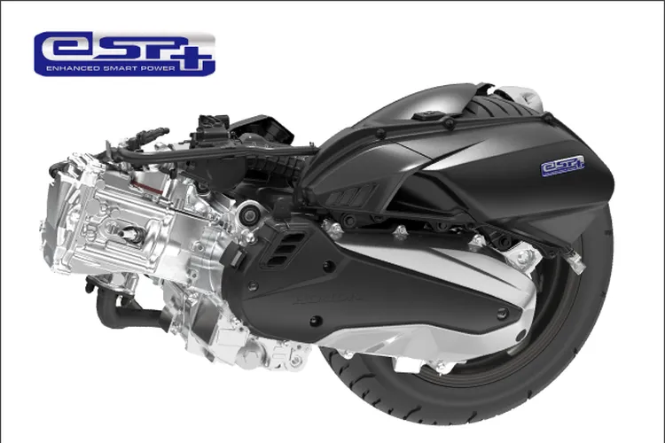 Scoopy Prestige White